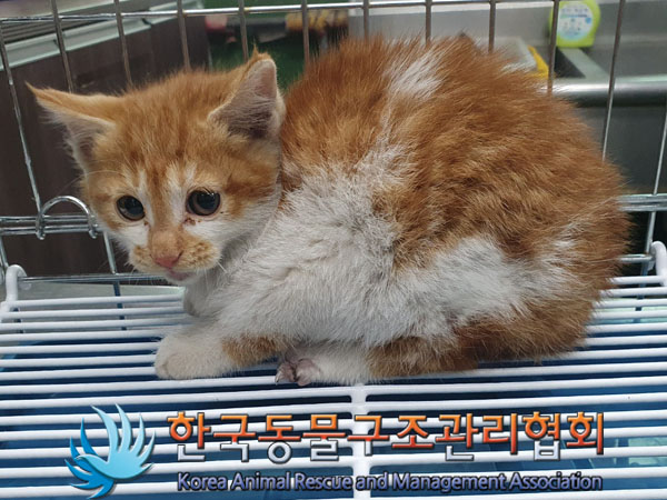 종료(자연사) 한국…